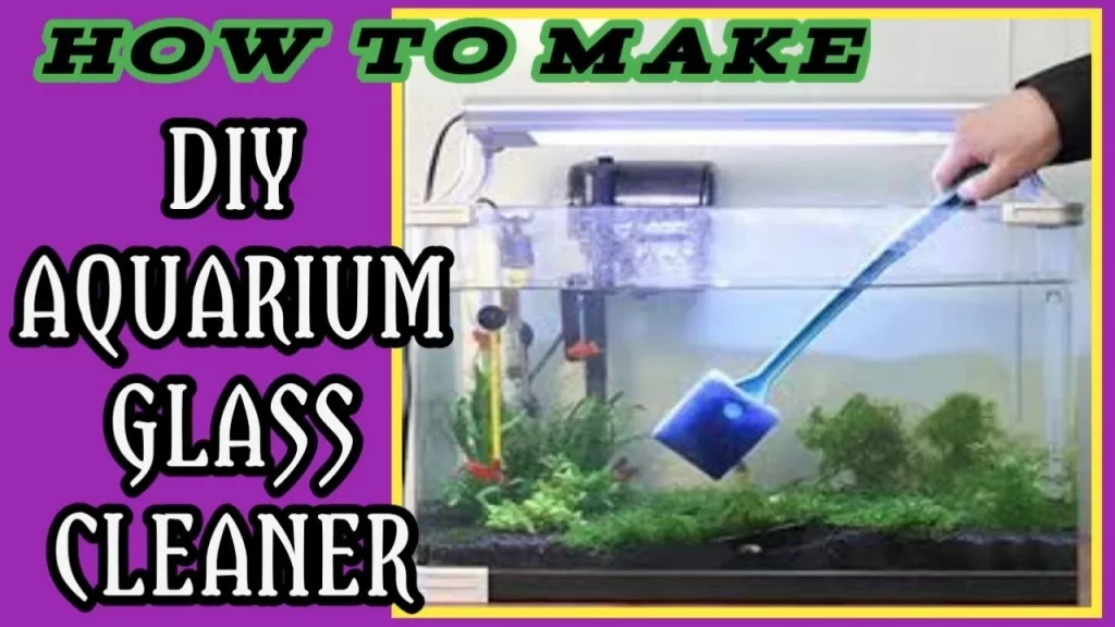 Homemade-aquarium-cleaners