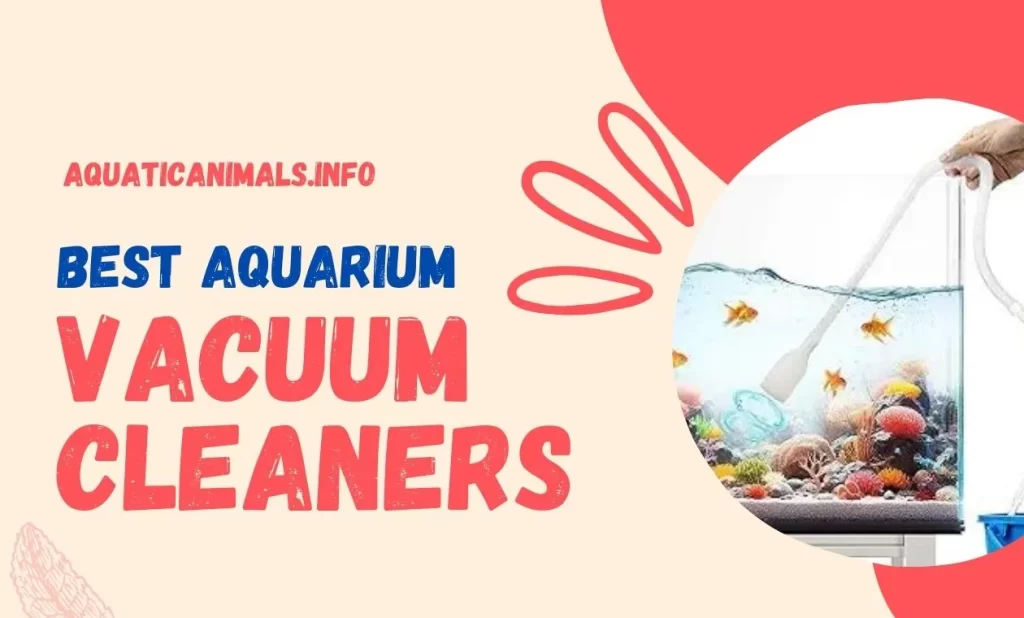 best-aquarium-vacuum-cleaners